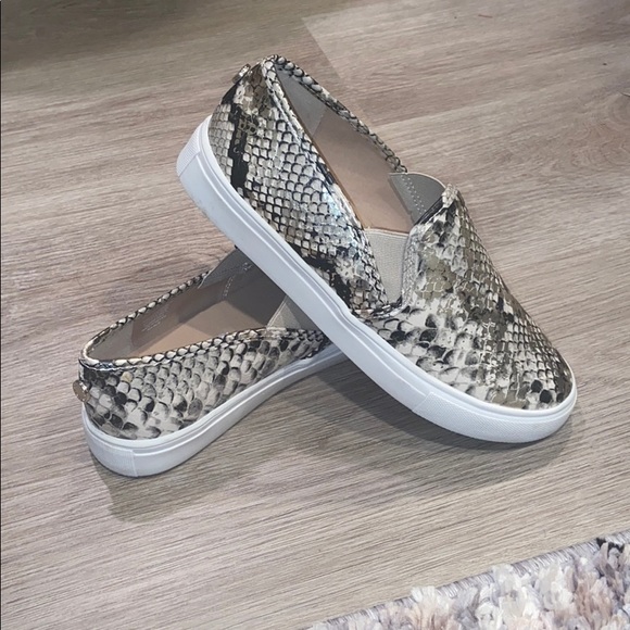 steve madden snakeskin sneakers